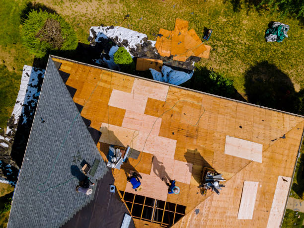 Best Roofing Contractor Near Me  in New Vienna, OH