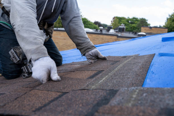 Best Shingle Roofing Installation  in New Vienna, OH