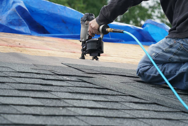 Best Roof Gutter Cleaning  in New Vienna, OH
